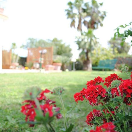 Villa Regina B&B Nettuno Bagian luar foto