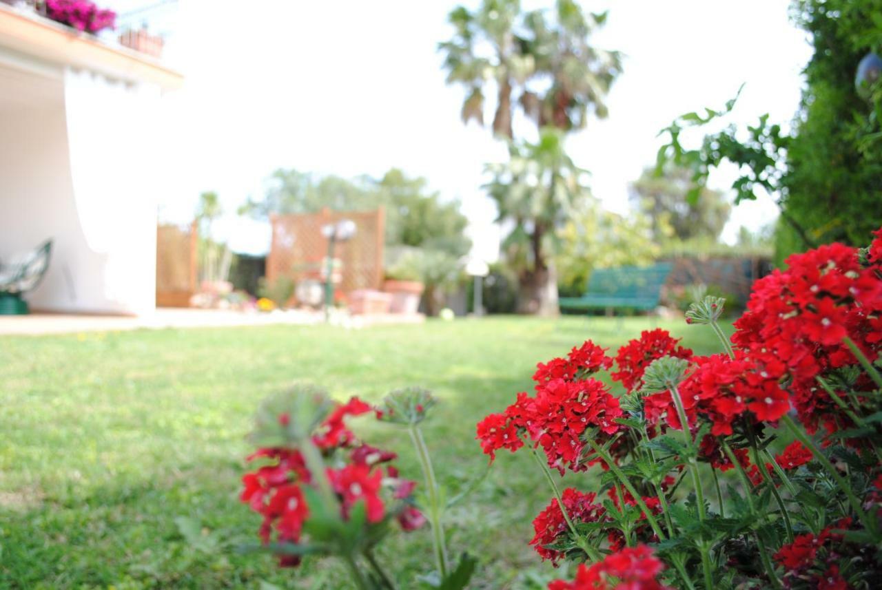 Villa Regina B&B Nettuno Bagian luar foto